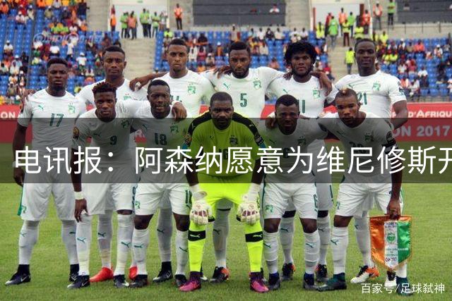 电讯报：阿森纳愿意为维尼修斯开出队史最高薪