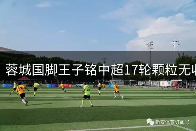 蓉城国脚王子铭中超17轮颗粒无收 昔日国安超级替补陷转型困境